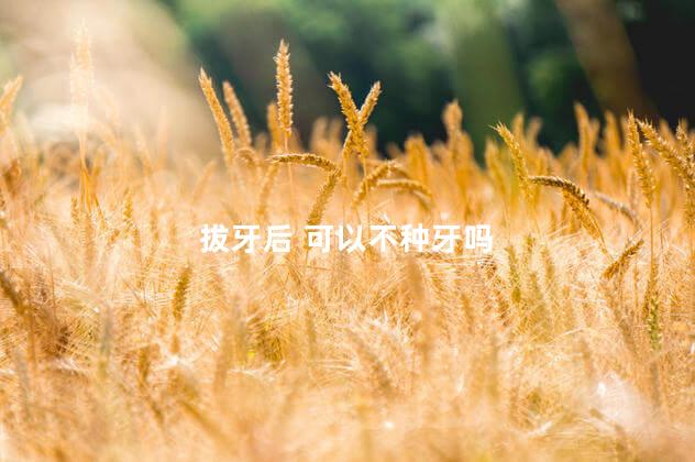 拔牙后 可以不种牙吗